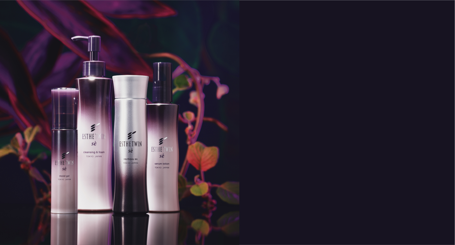 ESTHE TWIN SE seriese