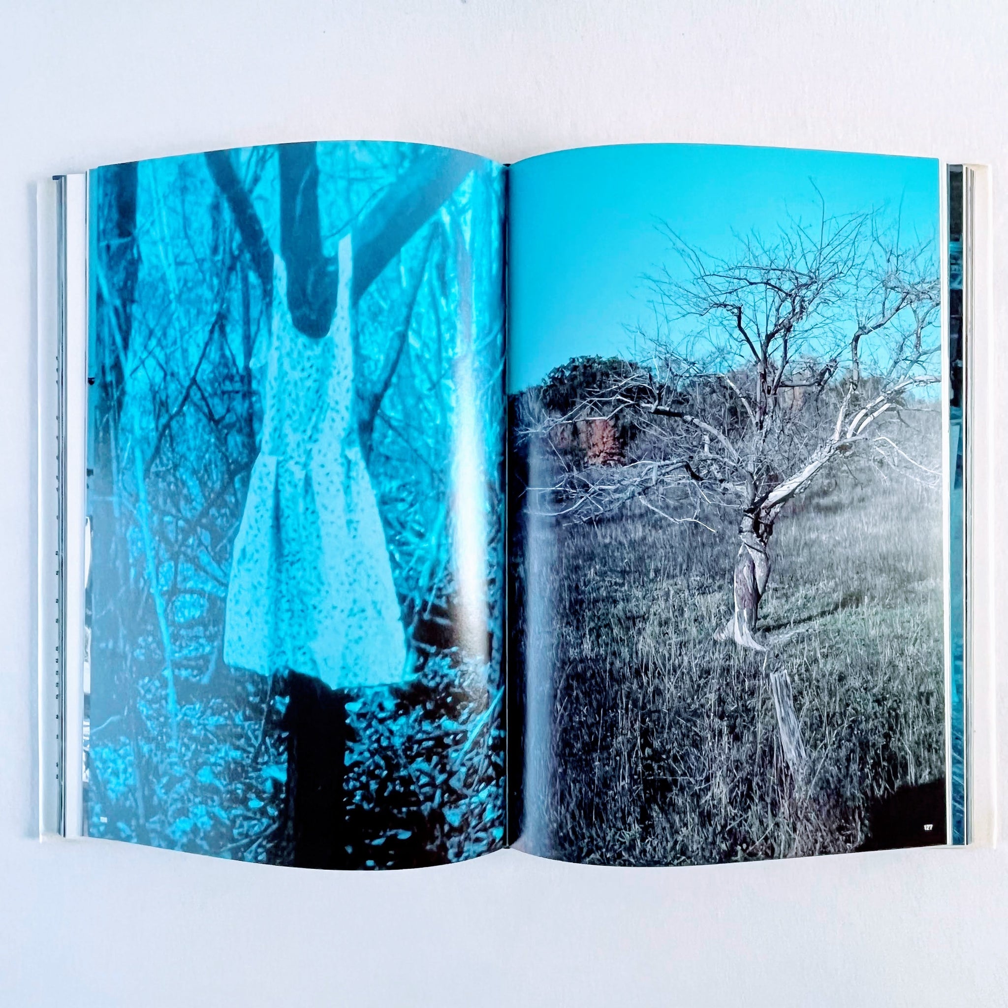 アート・デザイン・音楽 Richard Prince アート・デザイン・音楽