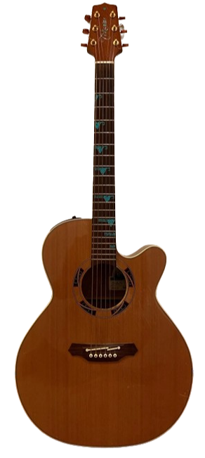 TAKAMINE ESF-93 for sale - Price and Used Value