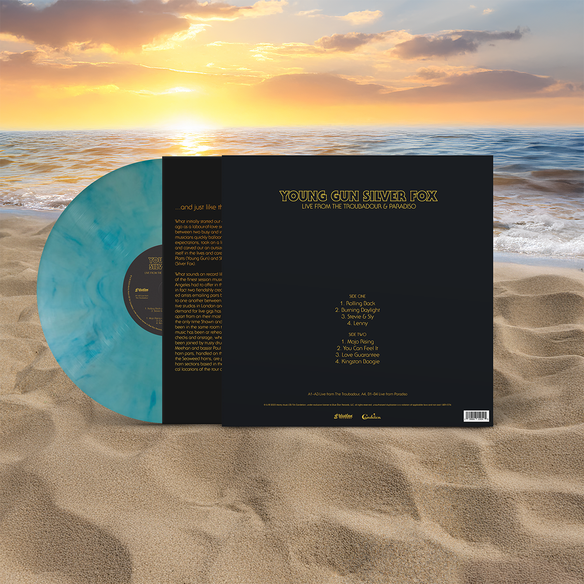 It's Always Summer With Young Gun Silver Fox - Blue Élan Records