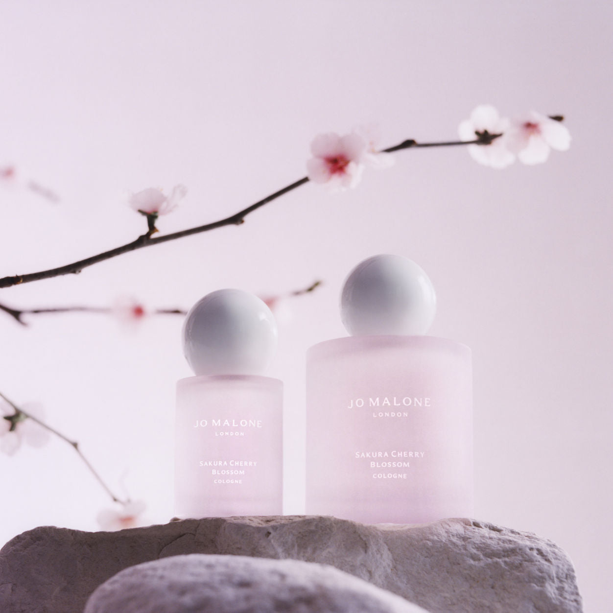 Jo Malone London Sakura Cherry Blossom Cologne – Jo Malone London