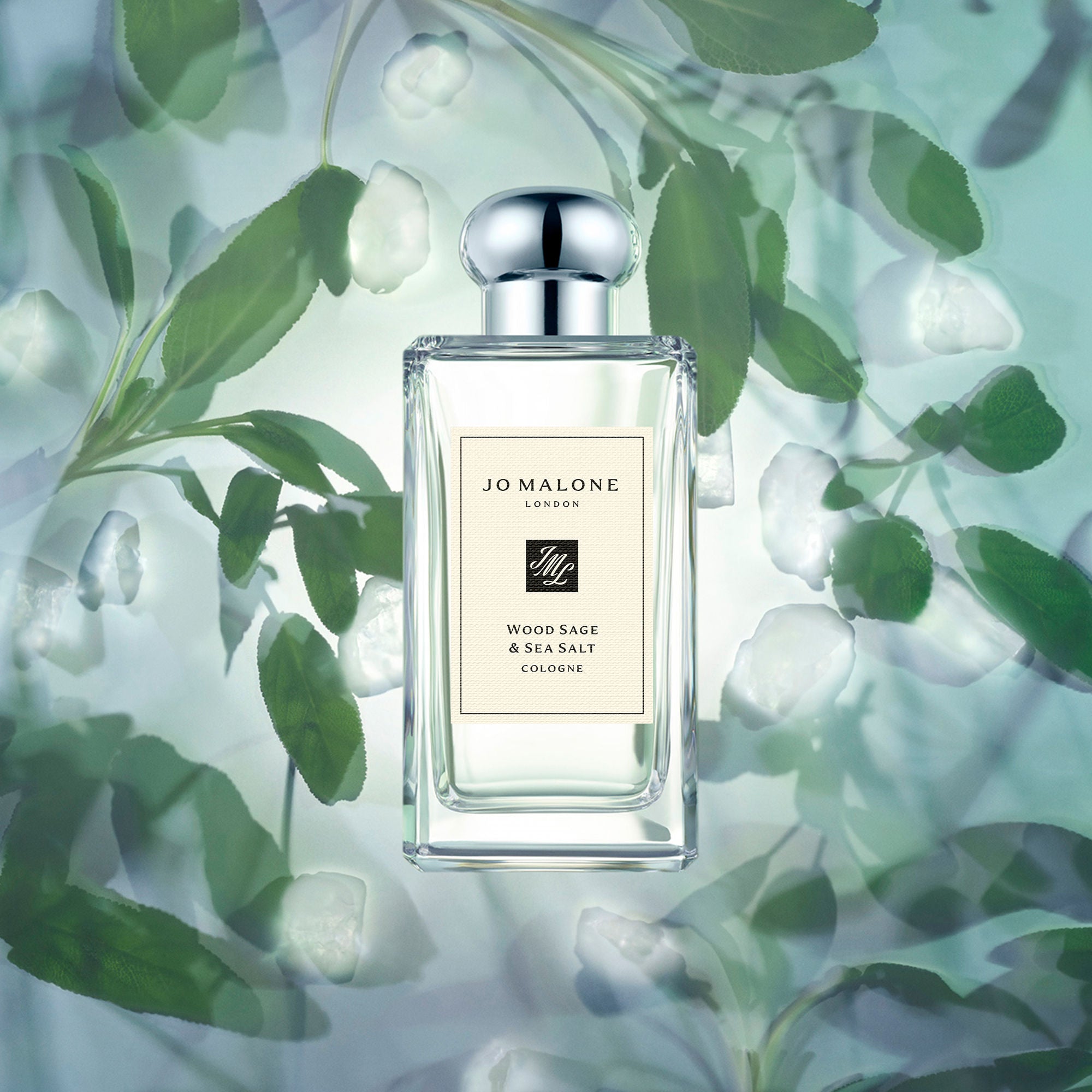 Jo Malone London Wood Sage and Sea Salt Cologne – Jo Malone London