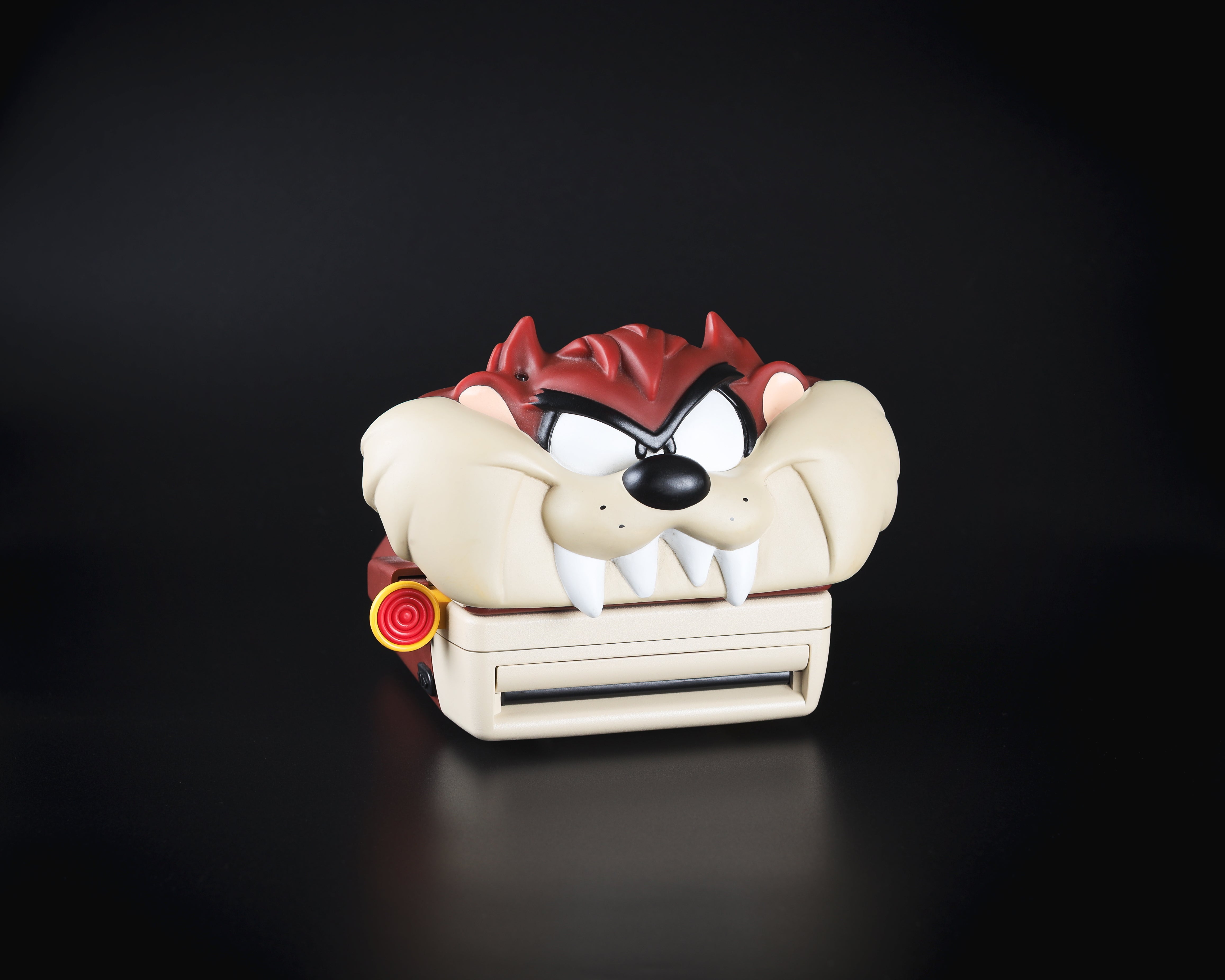 Polaroid 600 :: TAZ! – Brooklyn Film Camera