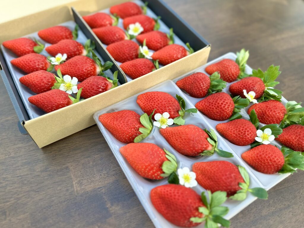 商品ページ – 川崎市生田地区にあるいちご農園『BUNKAEN』