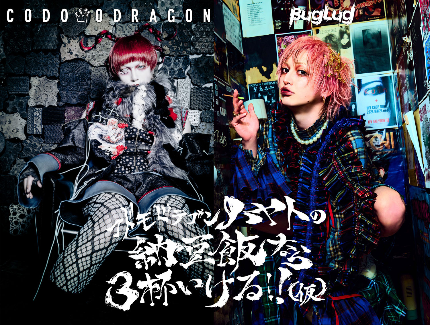 コドモドラゴン ハヤトの納豆飯なら3杯いける!!(仮)』 | BugLug