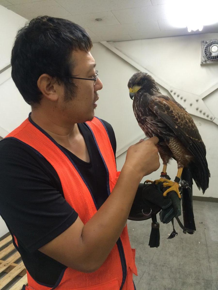 所属タレント - タカ・ハヤブサなど各種|有限会社バーデン動物