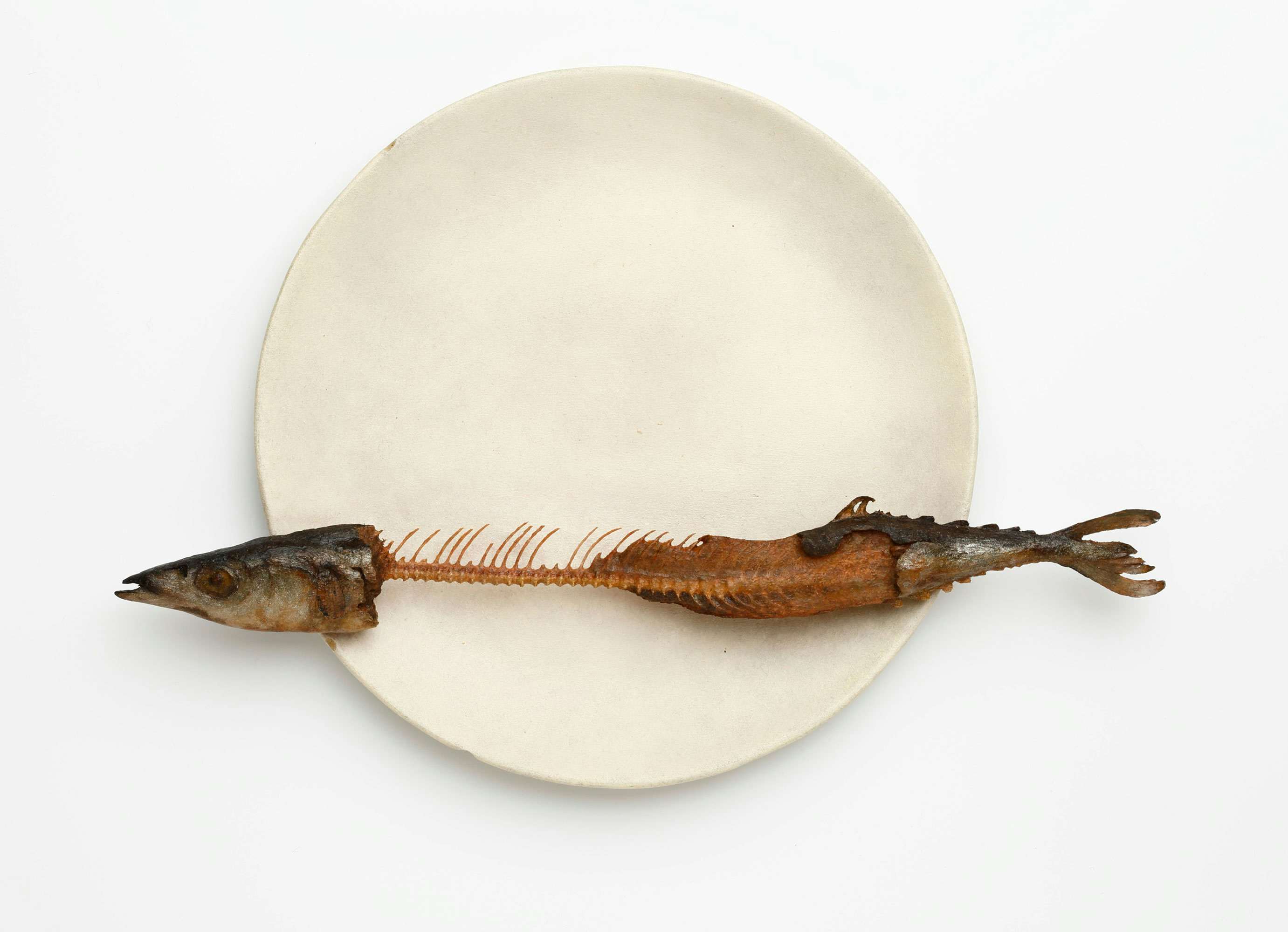 afdf9675ba83107326444589866d96