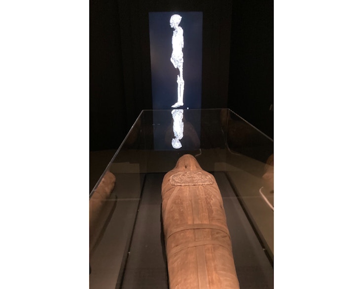 6体のミイラをCTスキャンで解析。古代エジプト人の生き様を知る「大英