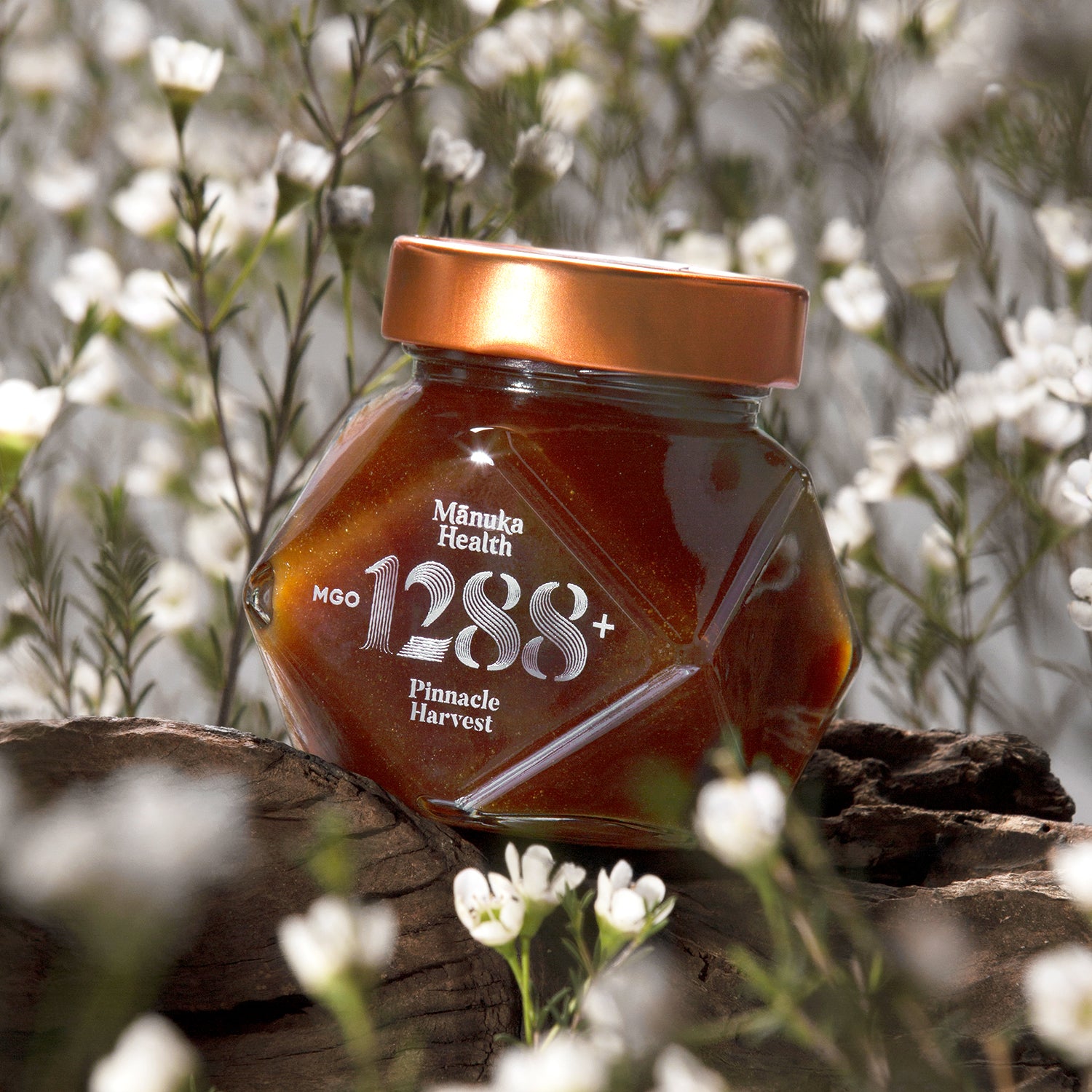 1288_Instagram_dff98528-c076-