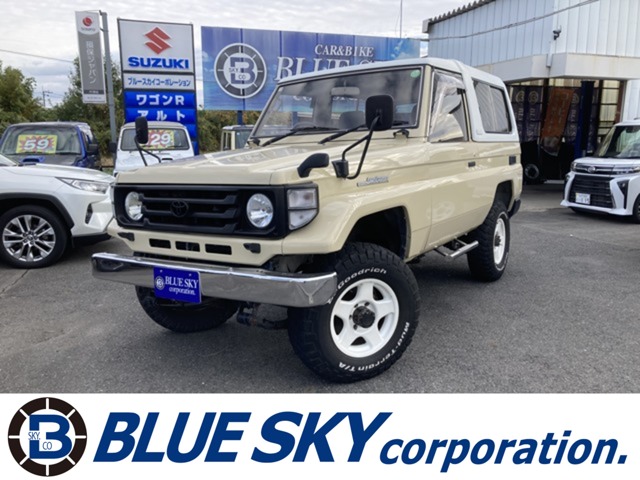 中古車EX - ブルースカイコーポレーション (ブルースカイ