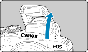 キヤノン：製品マニュアル｜EOS R10｜内蔵ストロボ撮影