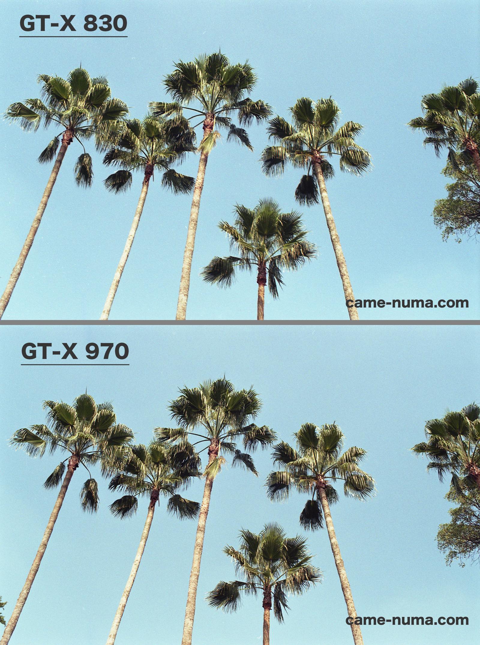 EPSONフィルムスキャナー比較GT-X970とGT-X830 | カメヌマ