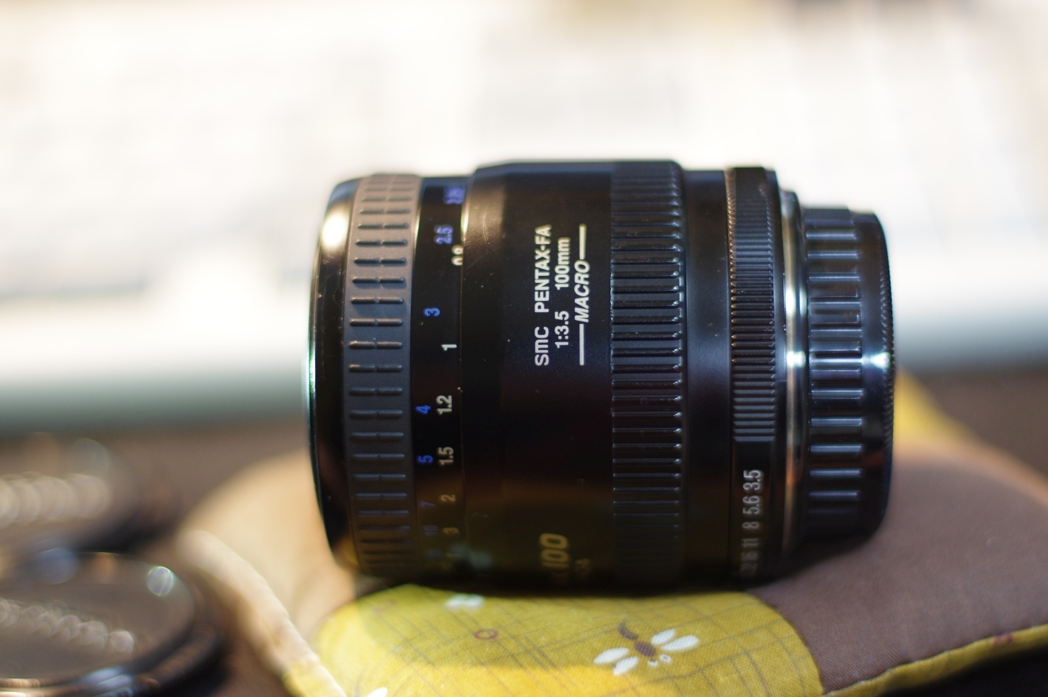 レンズを試す！】Part6:smc PENTAX-FA100mm F3.5 MACRO: 日常だけど