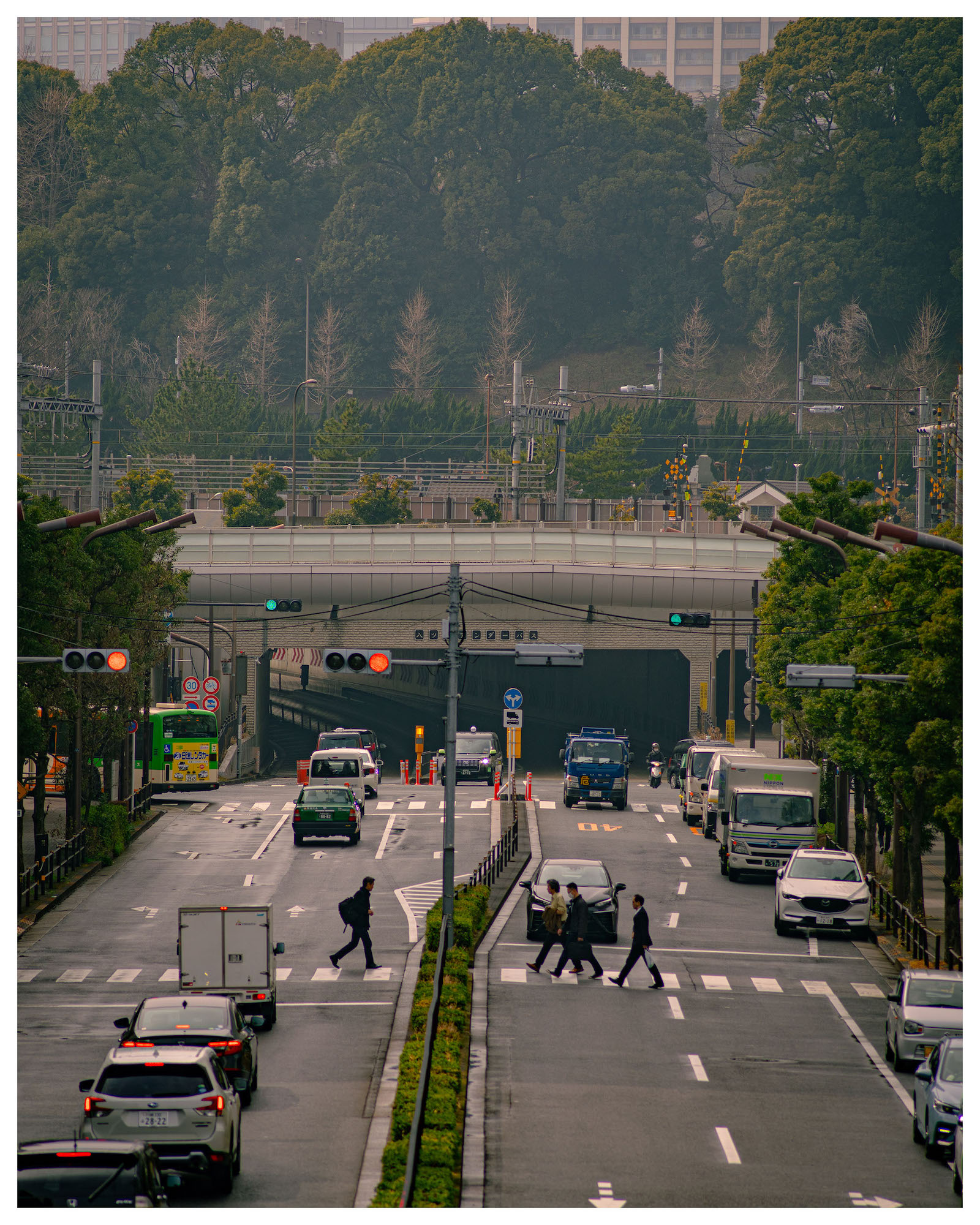 作例&レビュー】Canon New FD 200mm F4レビュー｜「軽いのに、200mm