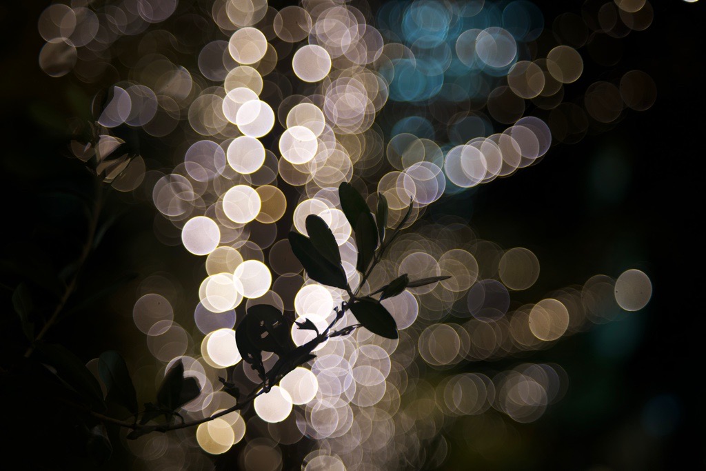 バブルボケでいこう！FUJINON 55mm F2.2｜レビュー＆作例 - くららの