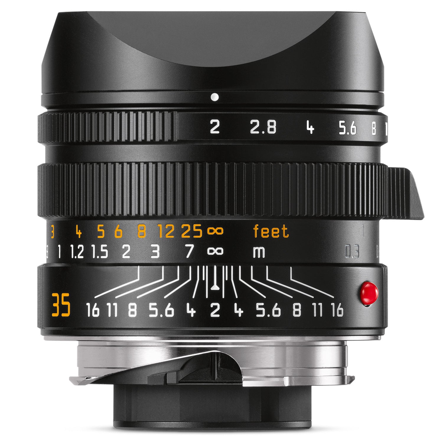 936600-01.jpg?v=1678487477