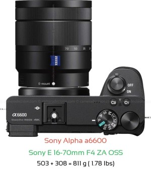 Sony A6600 Camera and Sony E PZ 18-105mm F4 G Lens