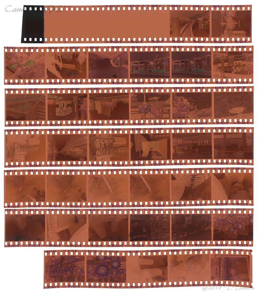 FUJIFILM NATURA CLASSICA | ページ 3 | CameRadiPC