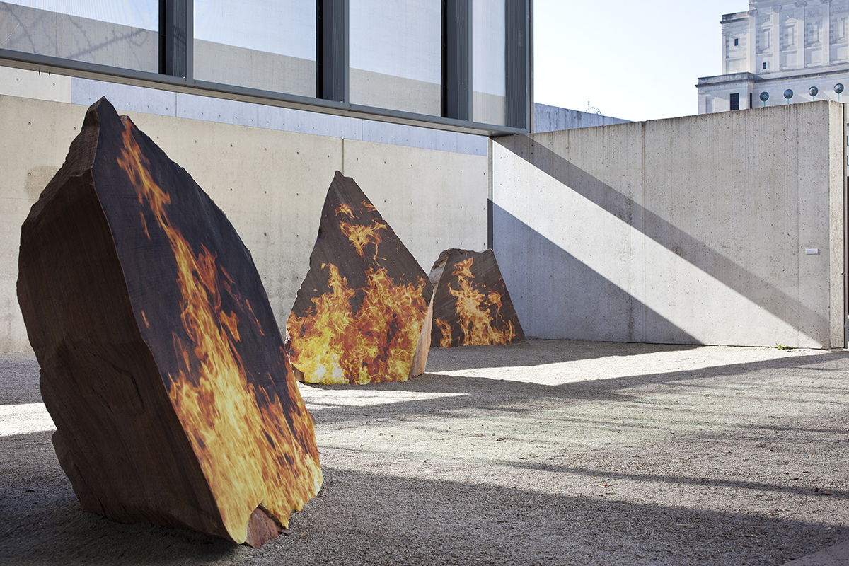 Peter Sutherland: Forests and Fires - Contemporary Art Museum St