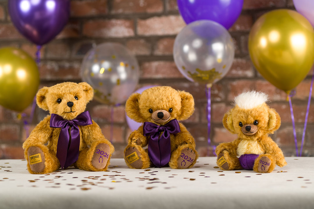 チーキー & パンキーコレクション｜メリーソート｜Dear Bear