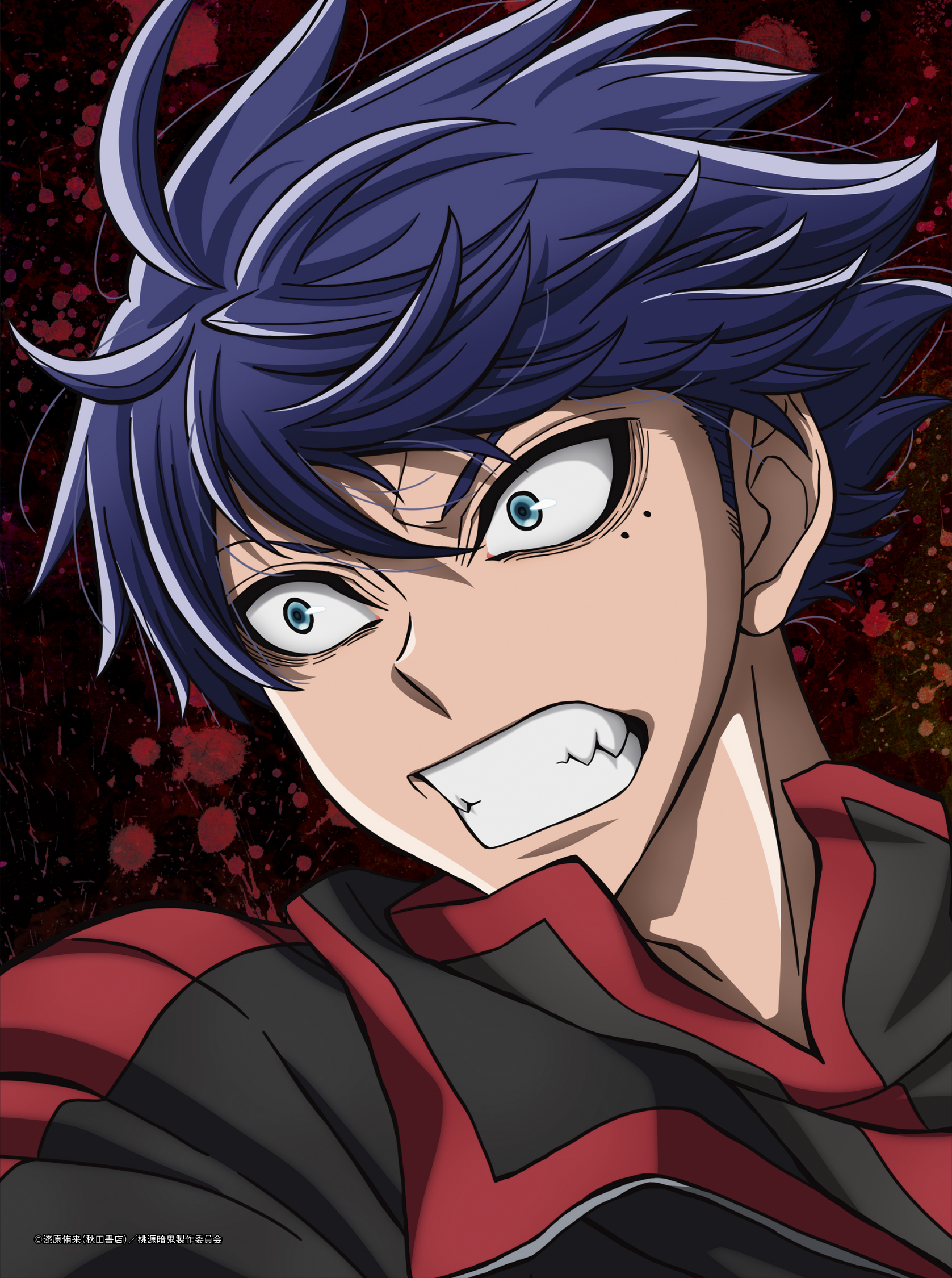 TVアニメ『桃源暗鬼』Blu-ray 第二巻 | きゃにめ