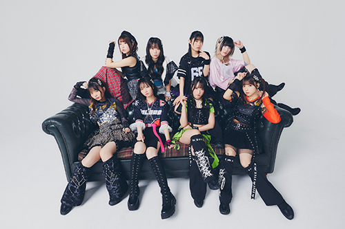 DIALOGUE＋ | きゃにめ