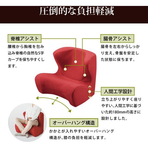 MTG Style Dr.CHAIR （スタイルドクターチェア）ブラウン ST-DC2039F-B