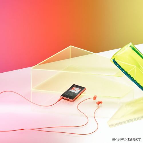 ソニー NW-A105 DM ウォークマンAシリーズ オレンジ | ヤマダウェブコム