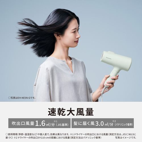 パナソニック EH-NE5N-H ヘアードライヤー イオニティ 低温ケアモード