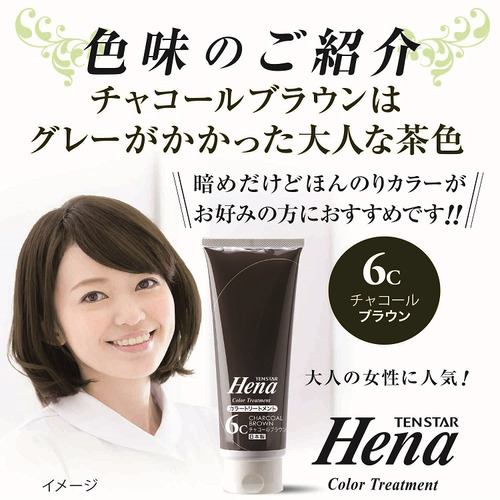 三宝 テンスター ヘナ カラートリートメント チャコールブラウン 250g