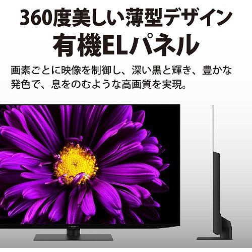 シャープ 4T-C65DQ1 BS／CS 4K内蔵有機ELテレビ AQUOS OLED DQ1