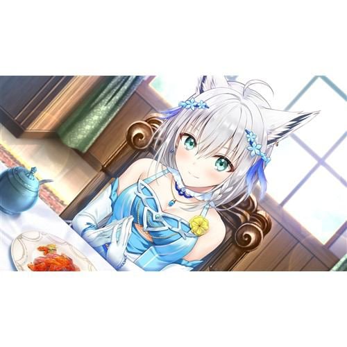 あくありうむ。【Switch】 HAC-P-A9D6A | ヤマダウェブコム