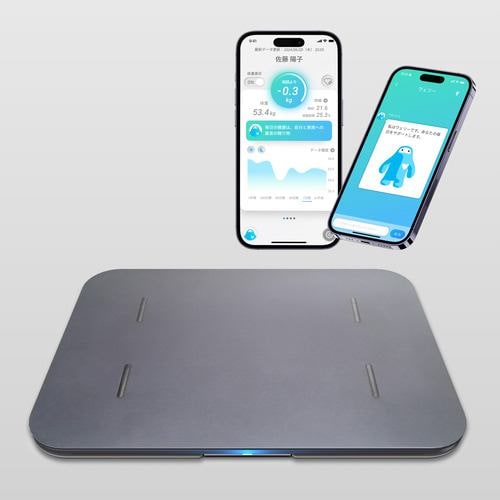 issin スマートバスマット体組成計モデル スマートバスマット 500×300