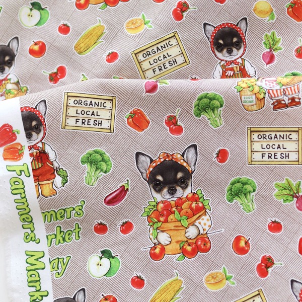 コヤンイサムチョン 公式 WEB