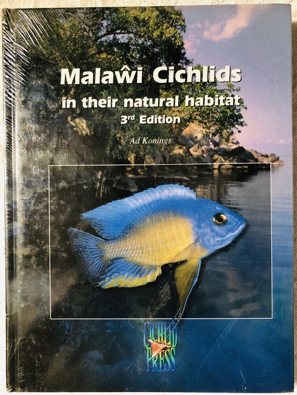 Malawi Cichlids in their natural habitat 3rd - California Cichlids