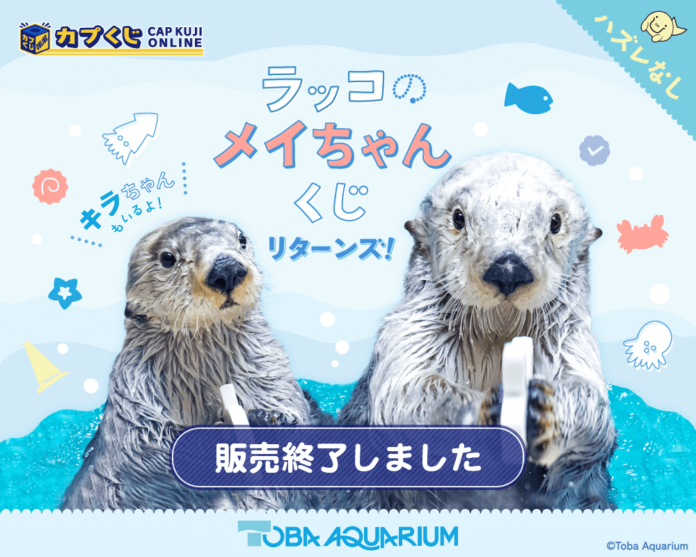 カプくじ×鳥羽水族館 ラッコのメイちゃんくじ リターンズ！ | カプくじ