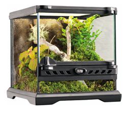 グラステラリウム ナノキューブ 〔ｴｷｿﾞﾃﾗ〕 | 爬虫類倶楽部