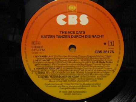 LP』 THE ACE CATS / katzen tanzen durch die nacht | Stay Free Records