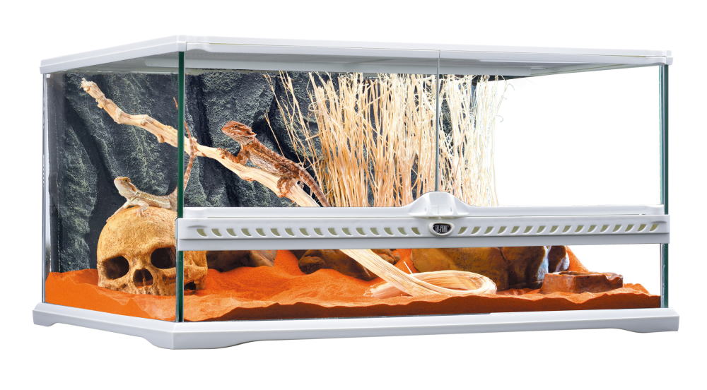 販売終了】GEXグラステラリウムホワイト6030 | かめんちゅカート