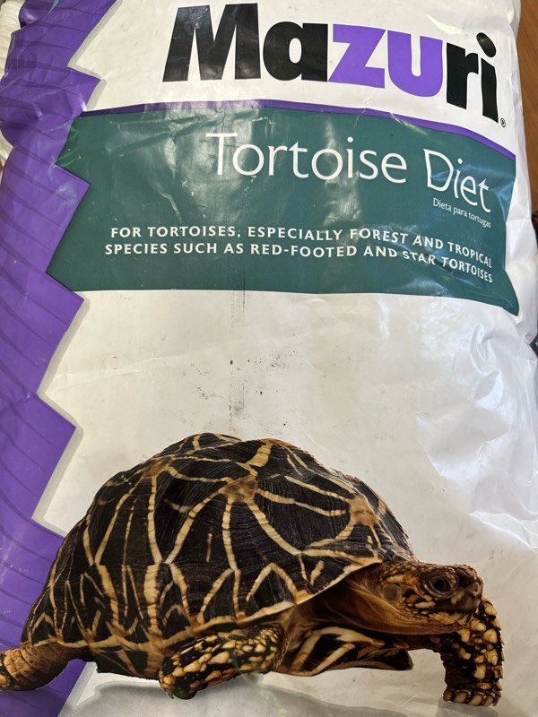 マズリー トータスダイエット 5M21 11.34kg 2本セット | 爬虫類 販売