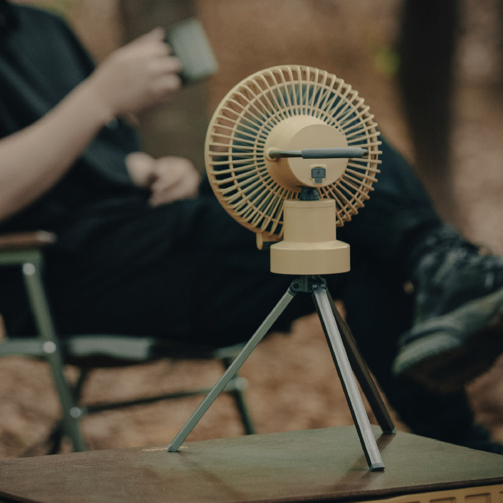 DUAL FAN - M – CARGO CONTAINER