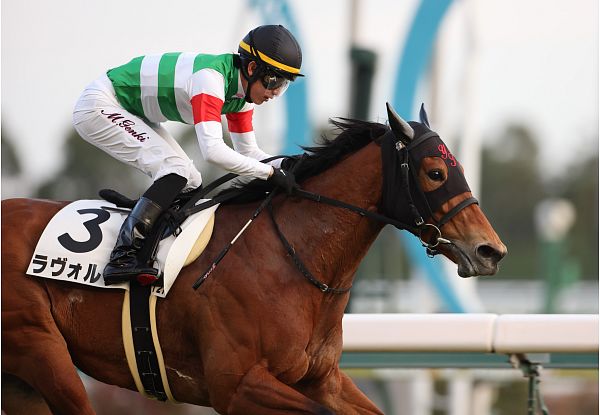 勝利馬一覧｜キャロットクラブ -CARROT CLUB-