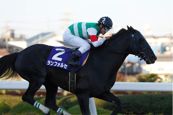 キャロットクラブ -CARROT CLUB-