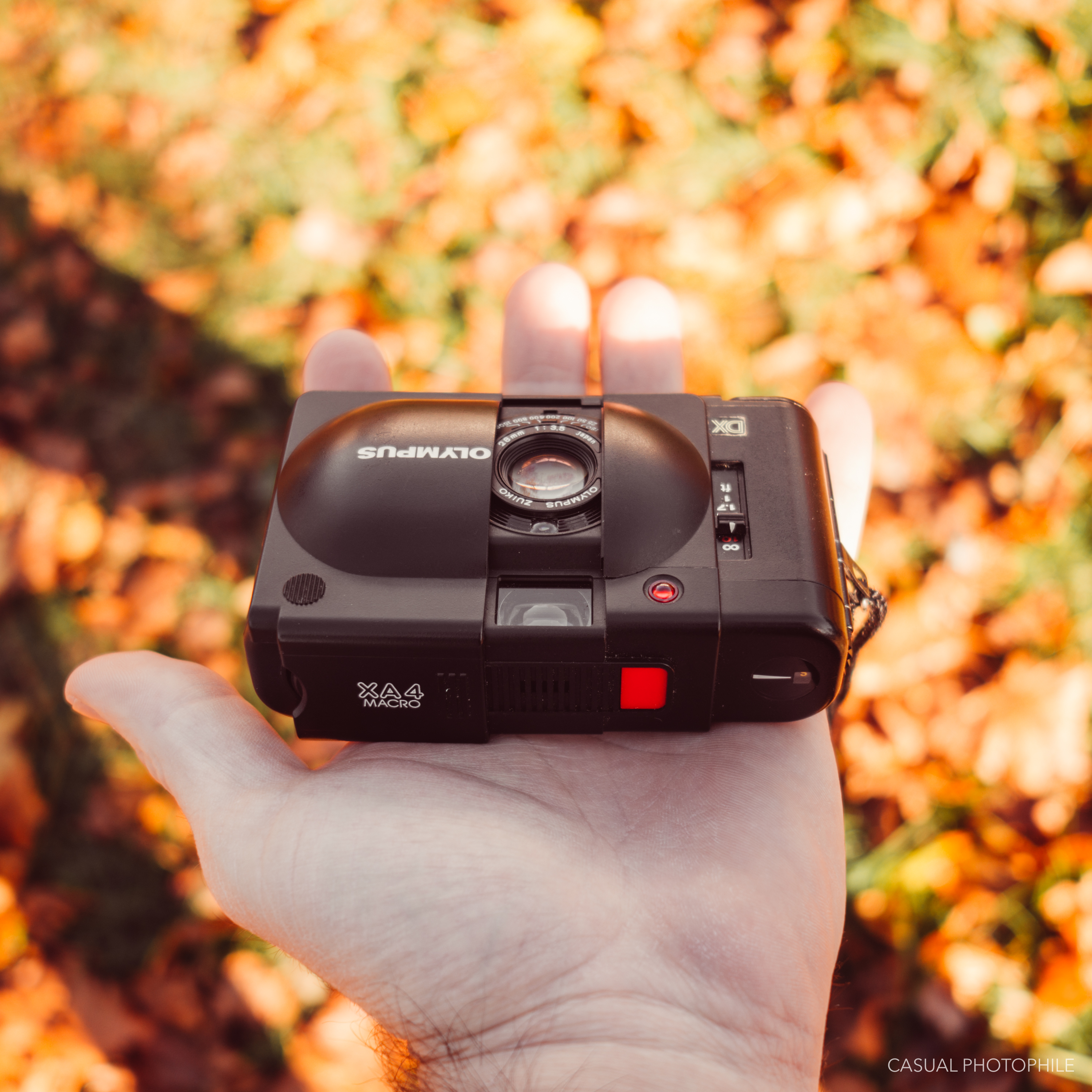 momo&mikan オリンパス OLYMPUS XA4 A1L Olympus XA 4 Macro with