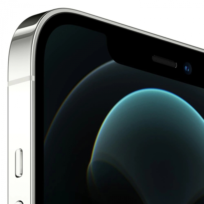 iPhone 12 Pro Max 256GB Prata com Tela 6.7