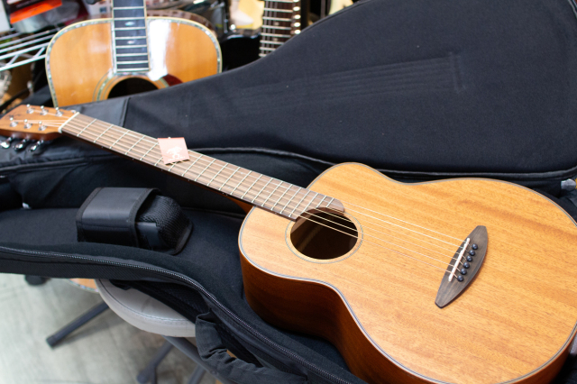 aNueNue aNN-M20 (All Mahogany) アヌエヌエ M20 オールマホガニー