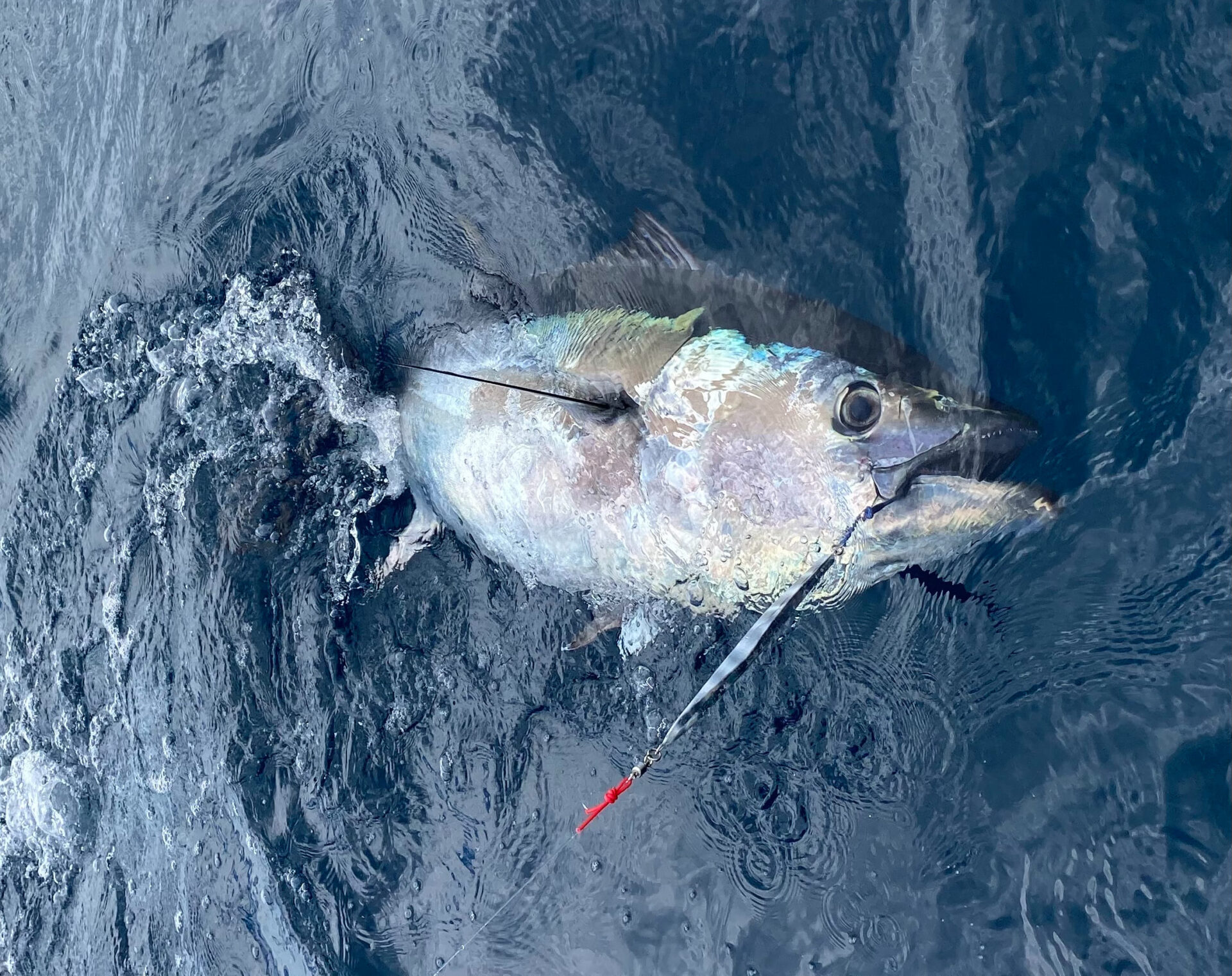 METAL JIG – CB ONE