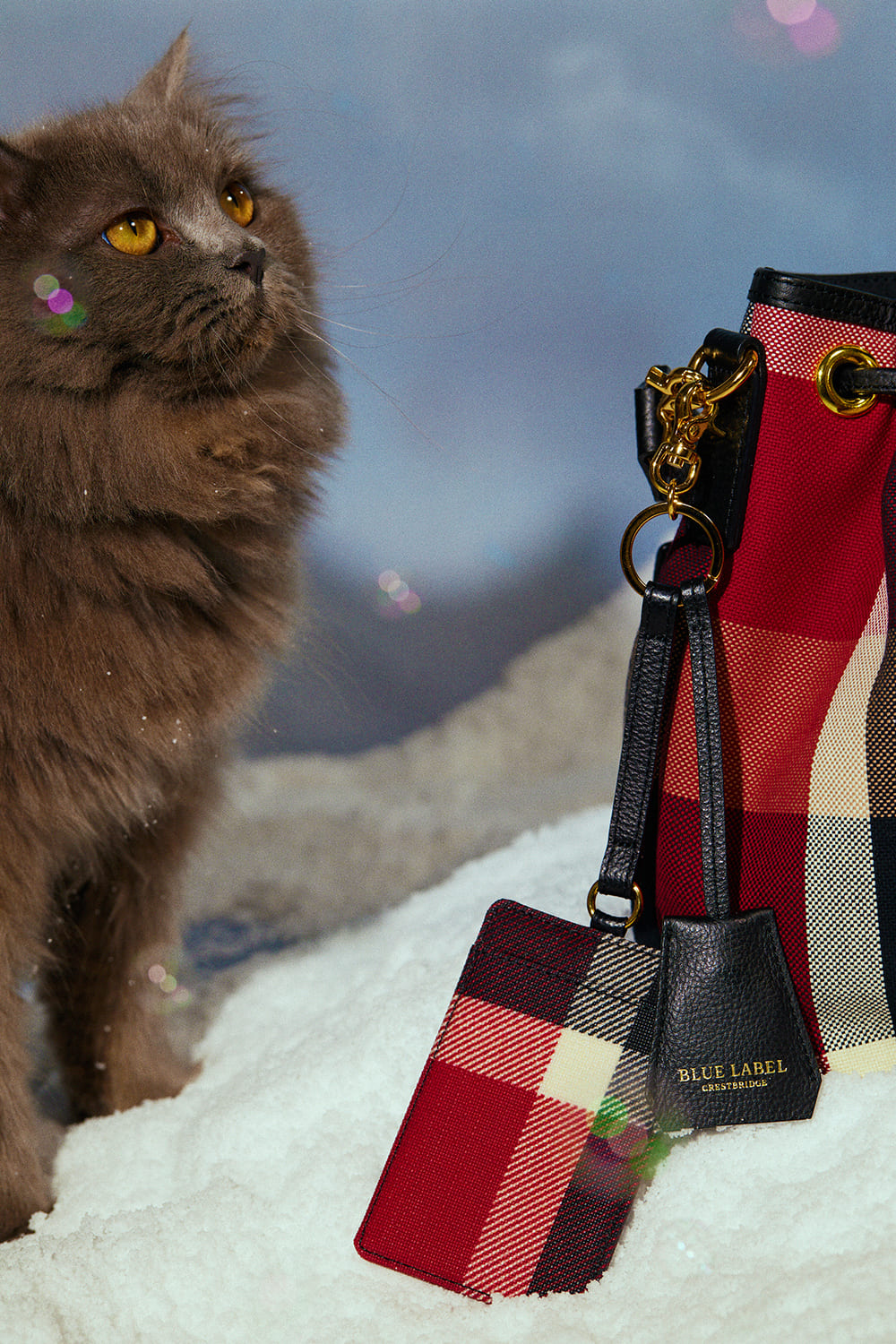 HOLIDAY MOOD BLUE LABEL CRESTBRIDGE｜BLUE LABEL CRESTBRIDGE(ブルー