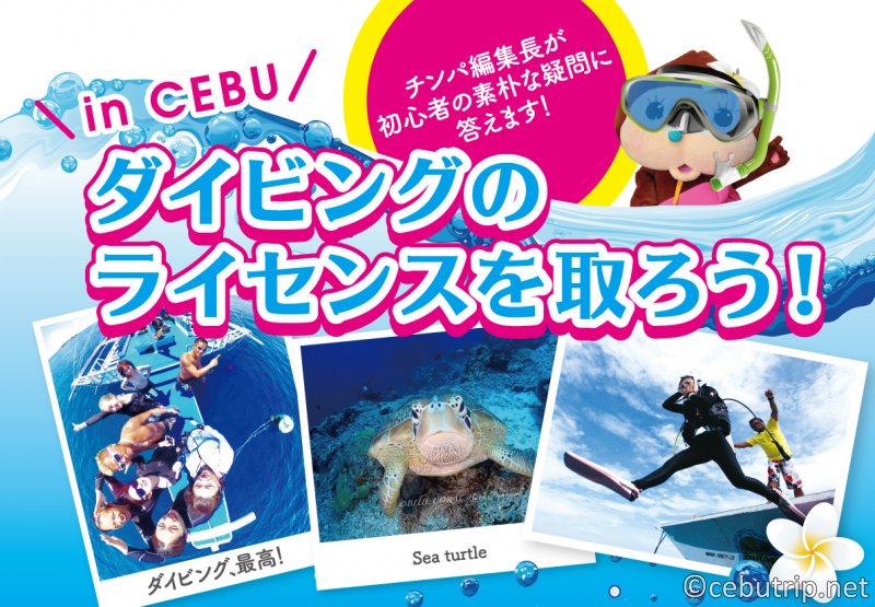 セブ島でダイビングのライセンスを取ろう!!初心者の素朴な疑問を徹底