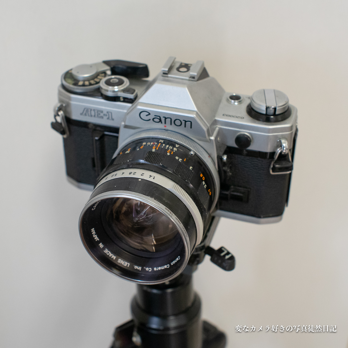 所持しているFDマウントの50mmを紹介 - 変なカメラ好きの写真徒然日記